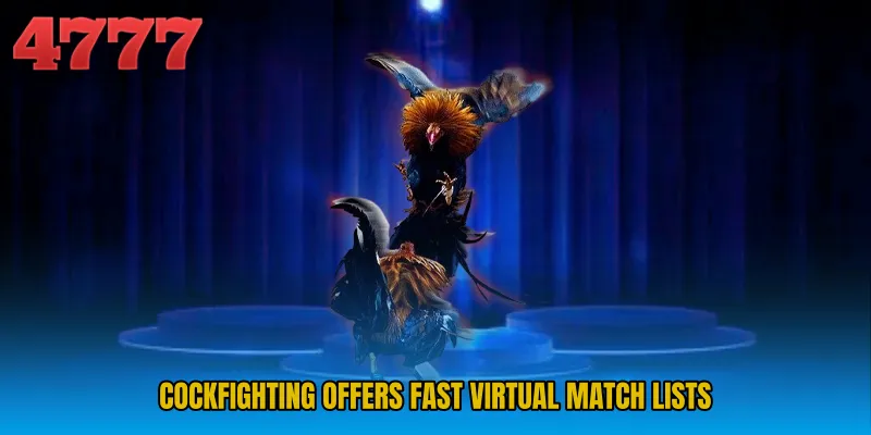 Cockfighting offers fast virtual match lists